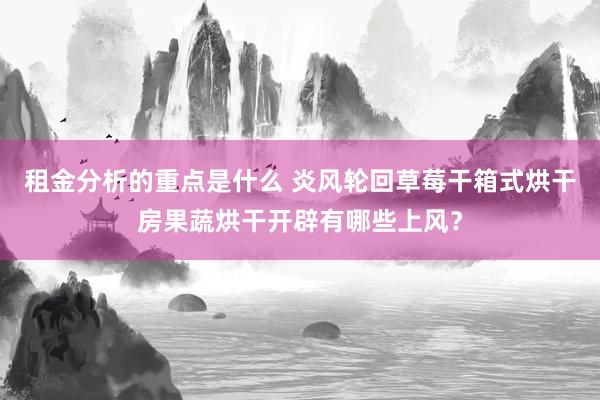 租金分析的重点是什么 炎风轮回草莓干箱式烘干房果蔬烘干开辟有哪些上风？