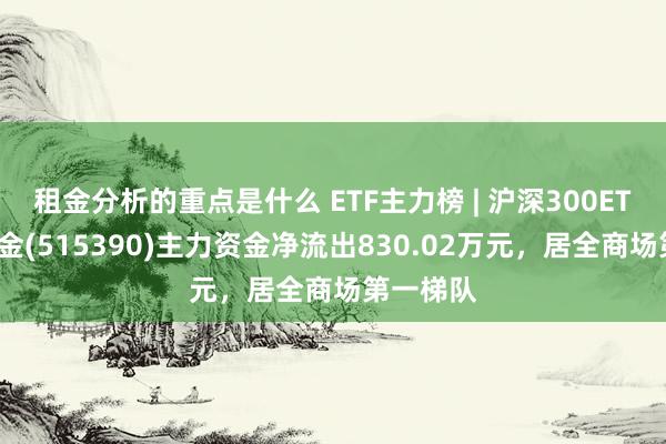 租金分析的重点是什么 ETF主力榜 | 沪深300ETF指数基金(515390)主力资金净流出830.02万元，居全商场第一梯队