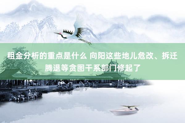 租金分析的重点是什么 向阳这些地儿危改、拆迁腾退等贪图干系部门修起了