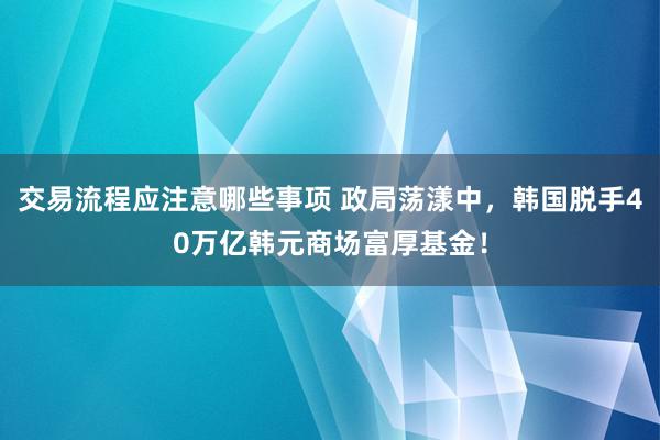 交易流程应注意哪些事项 政局荡漾中，韩国脱手40万亿韩元商场富厚基金！