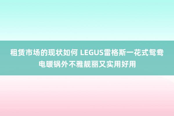 租赁市场的现状如何 LEGUS雷格斯一花式鸳鸯电暖锅外不雅靓丽又实用好用