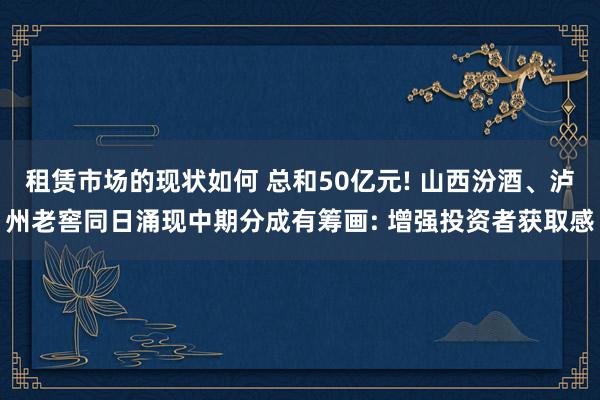 租赁市场的现状如何 总和50亿元! 山西汾酒、泸州老窖同日涌现中期分成有筹画: 增强投资者获取感