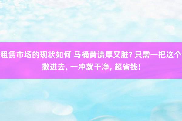 租赁市场的现状如何 马桶黄渍厚又脏? 只需一把这个撒进去, 一冲就干净, 超省钱!