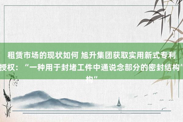 租赁市场的现状如何 旭升集团获取实用新式专利授权：“一种用于封堵工件中通说念部分的密封结构”