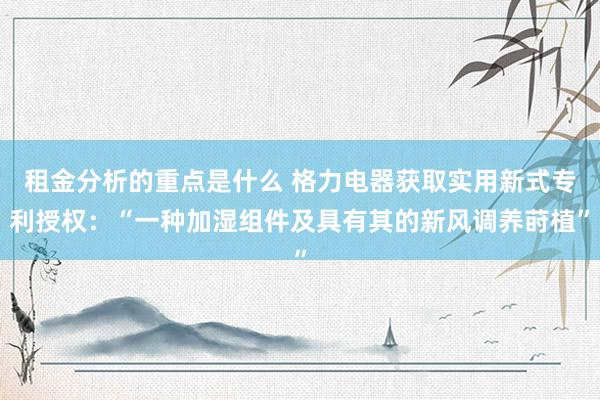 租金分析的重点是什么 格力电器获取实用新式专利授权：“一种加湿组件及具有其的新风调养莳植”