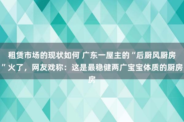 租赁市场的现状如何 广东一屋主的“后厨风厨房”火了，网友戏称：这是最稳健两广宝宝体质的厨房