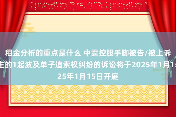 租金分析的重点是什么 中霆控股手脚被告/被上诉东说念主的1起波及单子追索权纠纷的诉讼将于2025年1月15日开庭