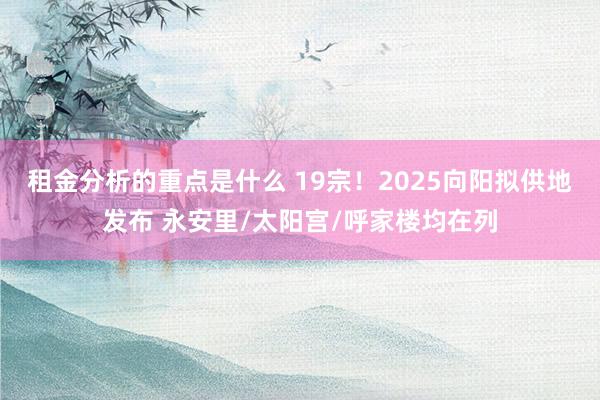 租金分析的重点是什么 19宗！2025向阳拟供地发布 永安里/太阳宫/呼家楼均在列