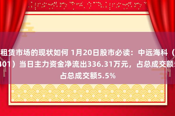 租赁市场的现状如何 1月20日股市必读：中远海科（002401）当日主力资金净流出336.31万元，占总成交额5.5%