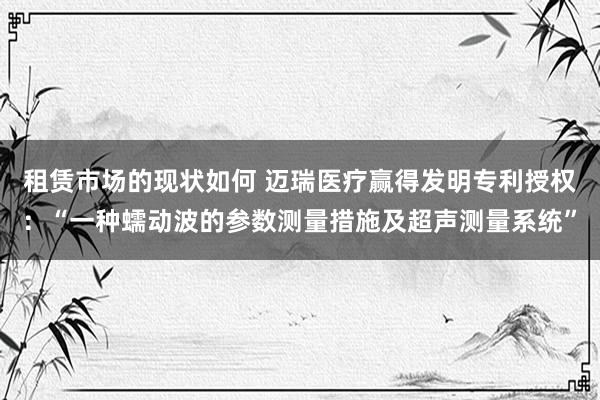 租赁市场的现状如何 迈瑞医疗赢得发明专利授权：“一种蠕动波的参数测量措施及超声测量系统”