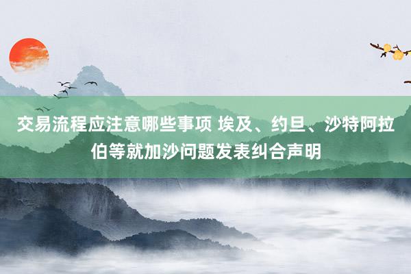 交易流程应注意哪些事项 埃及、约旦、沙特阿拉伯等就加沙问题发表纠合声明