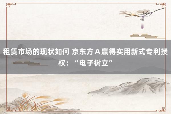 租赁市场的现状如何 京东方Ａ赢得实用新式专利授权：“电子树立”