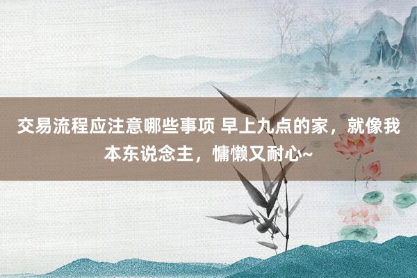 交易流程应注意哪些事项 早上九点的家，就像我本东说念主，慵懒又耐心~