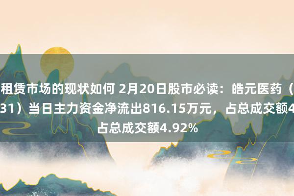 租赁市场的现状如何 2月20日股市必读：皓元医药（688131）当日主力资金净流出816.15万元，占总成交额4.92%