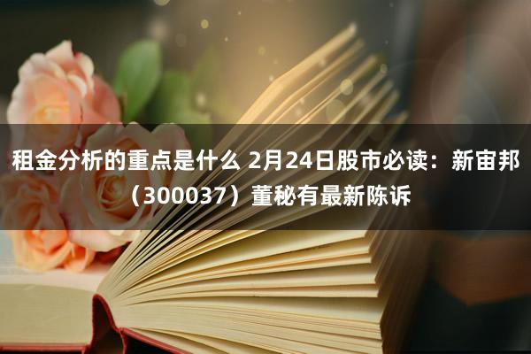 租金分析的重点是什么 2月24日股市必读：新宙邦（300037）董秘有最新陈诉