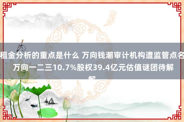 租金分析的重点是什么 万向钱潮审计机构遭监管点名 万向一二三10.7%股权39.4亿元估值谜团待解